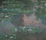 Claude Monet Waterlilies oil painting picture wholesale